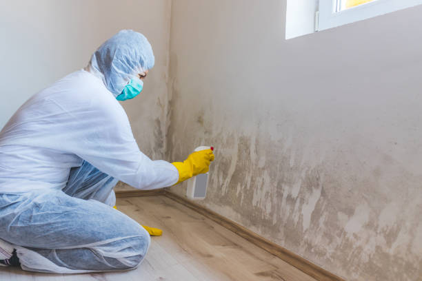 Hvac And Air Duct Mold Remediation inspection of HVAC system in Boiling Springs